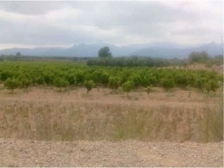 Suelo Rustico situado en Galera - Tarragona 6
