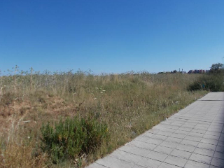 Suel urbanizable en Pt Santa Bárbara 10