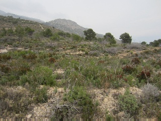 Suelo en La Nucía - Alicante - 6