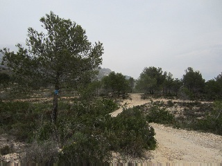 Suelo en La Nucía - Alicante - 7