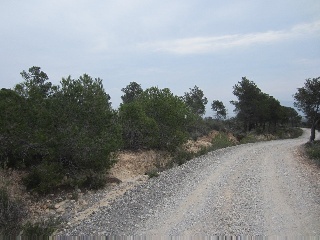 Suelo en La Nucía - Alicante - 8