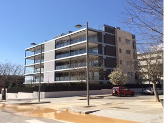 Ramon Mas 2