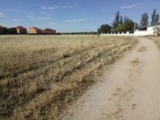 Suelo en Ugena 7