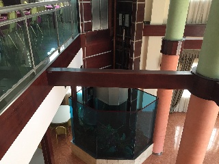 Hotel en El Campello 9