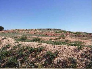 Suelo en Chinchilla de Monte-Aragón (Albacete) 7