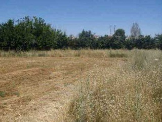 Suelo urbanizable en Av Torre de Villescas 8