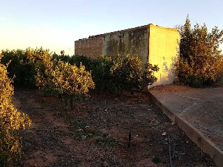 Suelo mixto en Ptda de Montiver 6