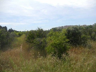 Suelo mixto en Ptda de Montiver 7