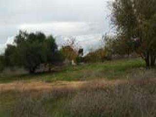 Suelo en Alcalá de Guadaira 8