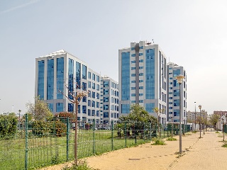 62638-0001 31