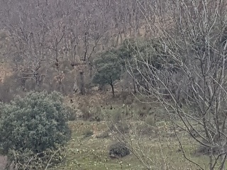 Suelo en Arenas de San Pedro 6