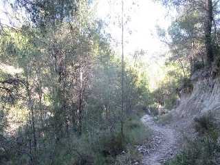 Suelo en Paraje Antón 7