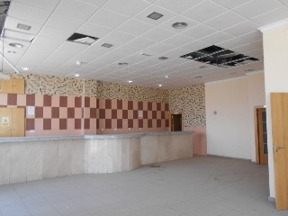 Nave industrial en P. I. Camporroso 3