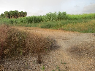 Suelo Urbano en Sueca 8