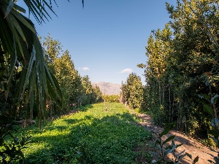 Chalet independiente en Desamparados 34