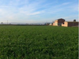 Pisos banco Zaragoza