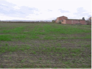 03510-0001 36