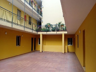 00595-0001 4