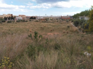 Suelo en C/ Bovalar Polg 7