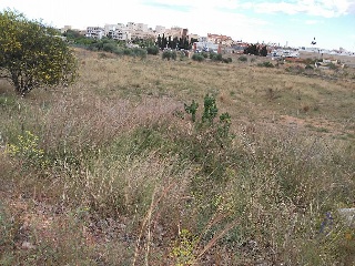 Suelo en C/ Bovalar Polg 8