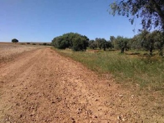 Suelo urbanizable en Castillo de Zerezuela 7