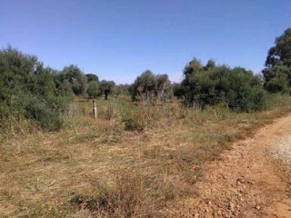 Suelo urbanizable en Castillo de Zerezuela 8