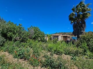Casa aislada en Manacor 35