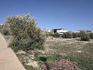 Otros en venta en Guardia De Jaén de 400  m²