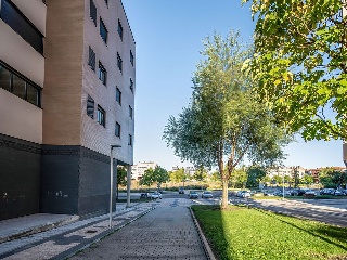 Locales en C/ Felipe Guillén 29