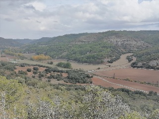 Otros en venta en Renera de 1155523  m²