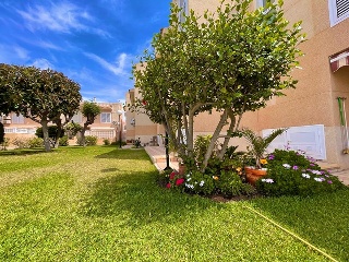 Chalet adosado en Torrevieja 43