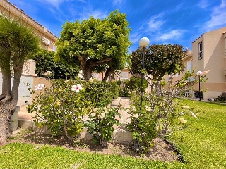 Chalet adosado en Torrevieja 44
