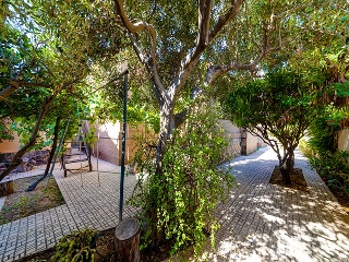 Chalet en Torrevieja 59