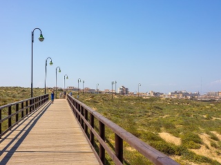 Chalet en Torrevieja 64
