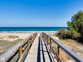 Chalet en Torrevieja 66