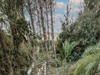 Chalet independiente en Urb Sant Antoni - Alforja - Tarragona 18