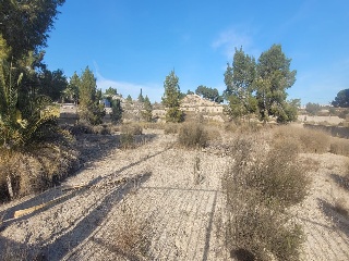 Suelo rústico en Molina de Segura 5