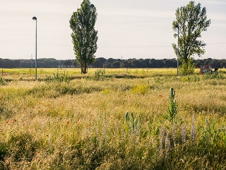 Suelos urbanos en C/ Río Guadalquivir 9