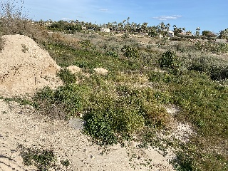 Suelo urbano no consolidado en Partida De Algorós 6
