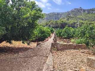 Otros en venta en Tavernes De La Valldigna de 11015  m²