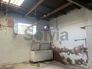 Suelo rústico con nave 3