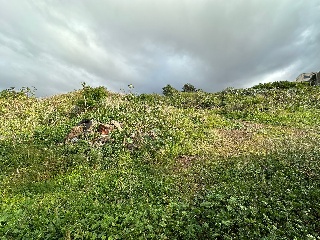 Suelo urbano en La Matanza de Acentejo - 12