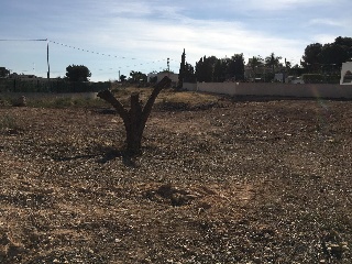 Suelo en Partida Peña Águilas 6