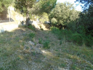 Suelos en L`Ametlla del Vallès , Barcelona 9