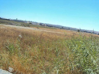 17195-0001 4