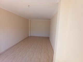 01772-0001 5
