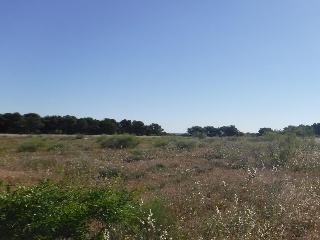 Otros en venta en Lleida de 1117  m²