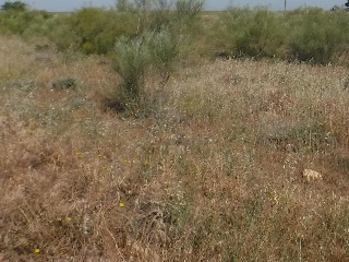 14088-0001 2