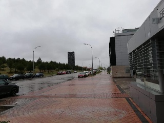 16319-0001 10