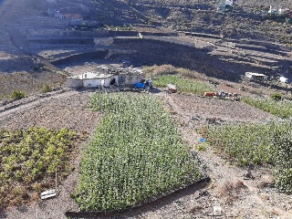 Suelo urbano consolidado en  Acebo Pago de Tenoya, Las Palmas de Gran Canaria (Las Palmas  2
